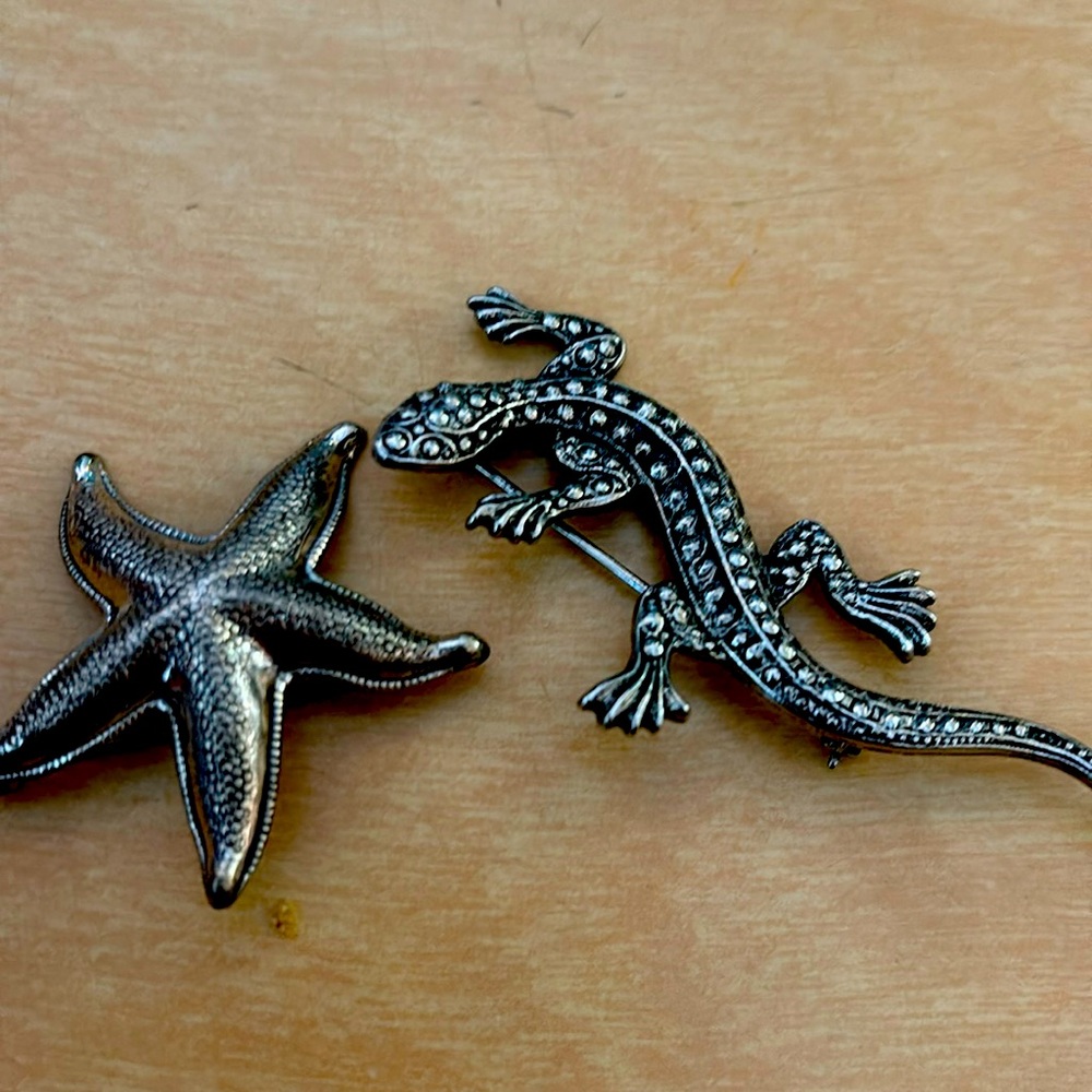 Starfish and lizard broches